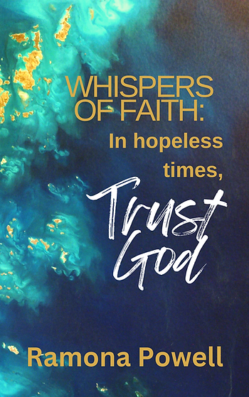 e80d52 3054a76f61334aa68beb85d3a4daf2e0mv2