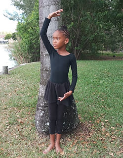 e80d52 a61947abb49a400387b60076a308bdcdmv2