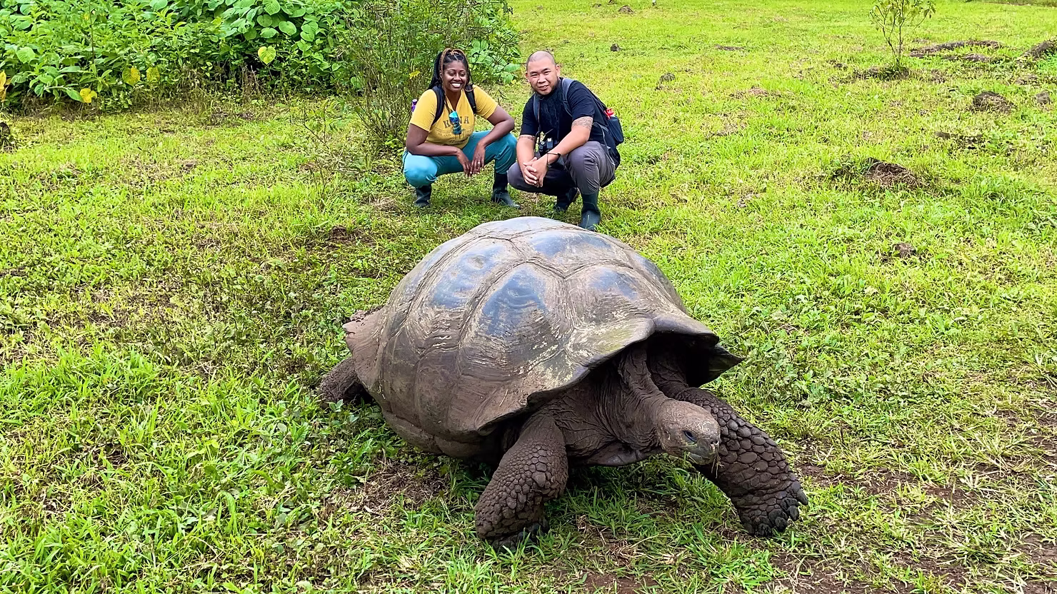 e80d52 c09cb1d38a1b4d7bb5ccf675afeab70cmv2 1