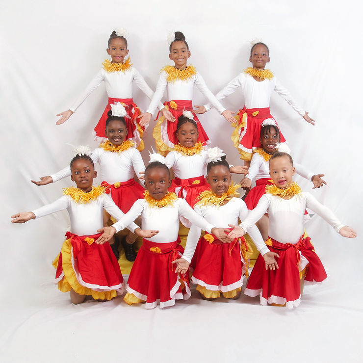 e80d52 c78481695f35444d883ecb04561f930emv2