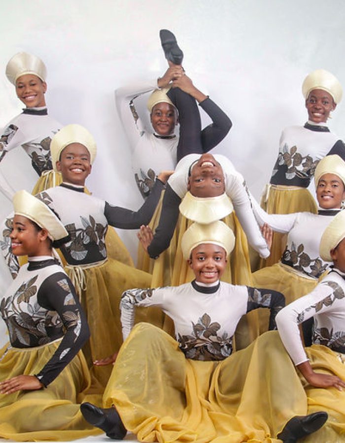 e80d52 07e39f2886424a6d8c8d601e6c8c15c4mv2