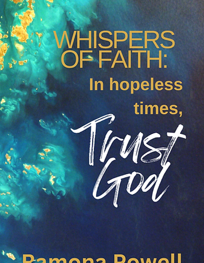 e80d52 3054a76f61334aa68beb85d3a4daf2e0mv2