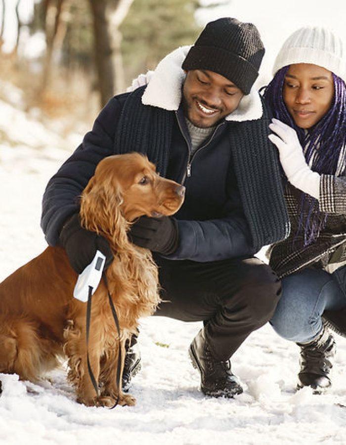 e80d52 b690b83268504b58be75b565a03df6admv2