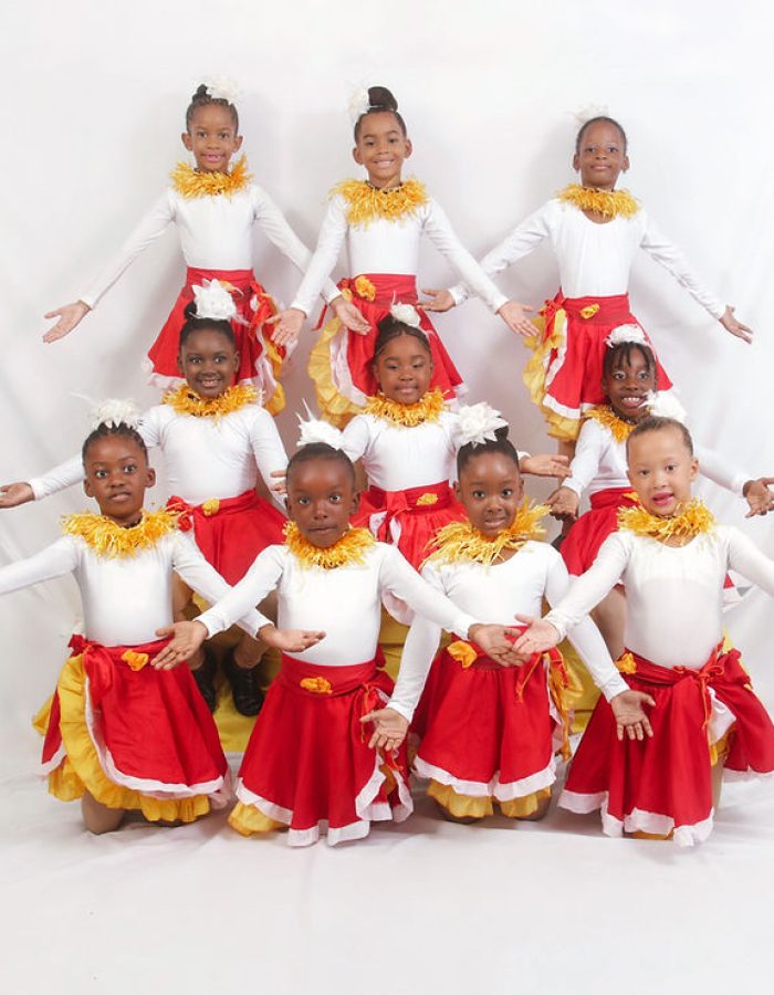 e80d52 c78481695f35444d883ecb04561f930emv2