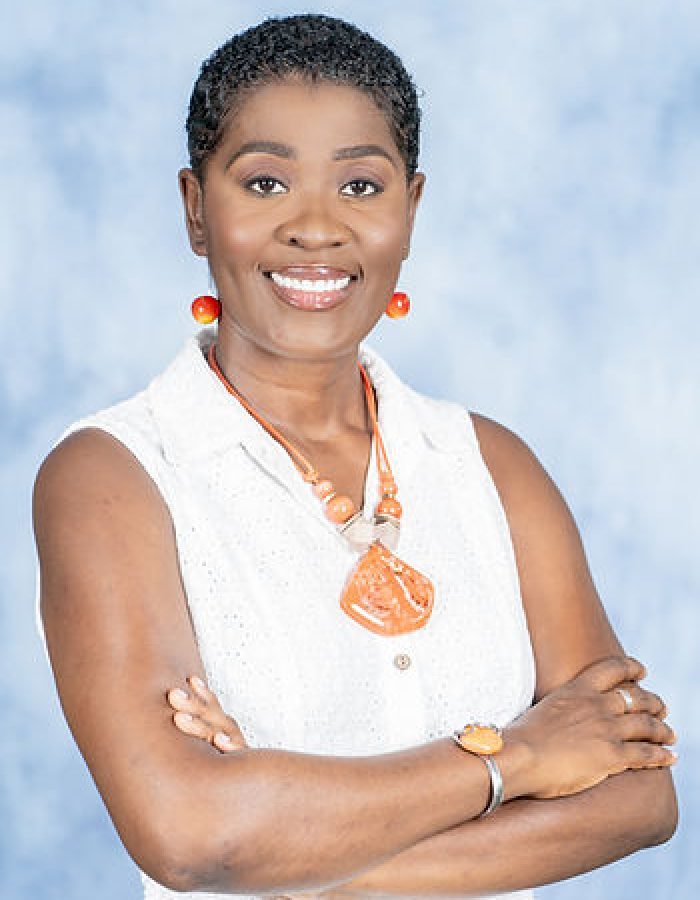 e80d52 fe837c3f4d6747fa917b962a4e87ec1dmv2